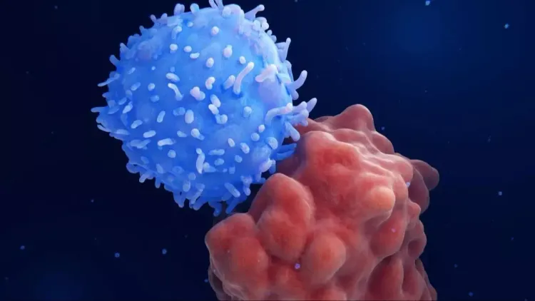 Kanser tedavisinde yerli CAR-T hamlesi! Yerli üretim başlıyor